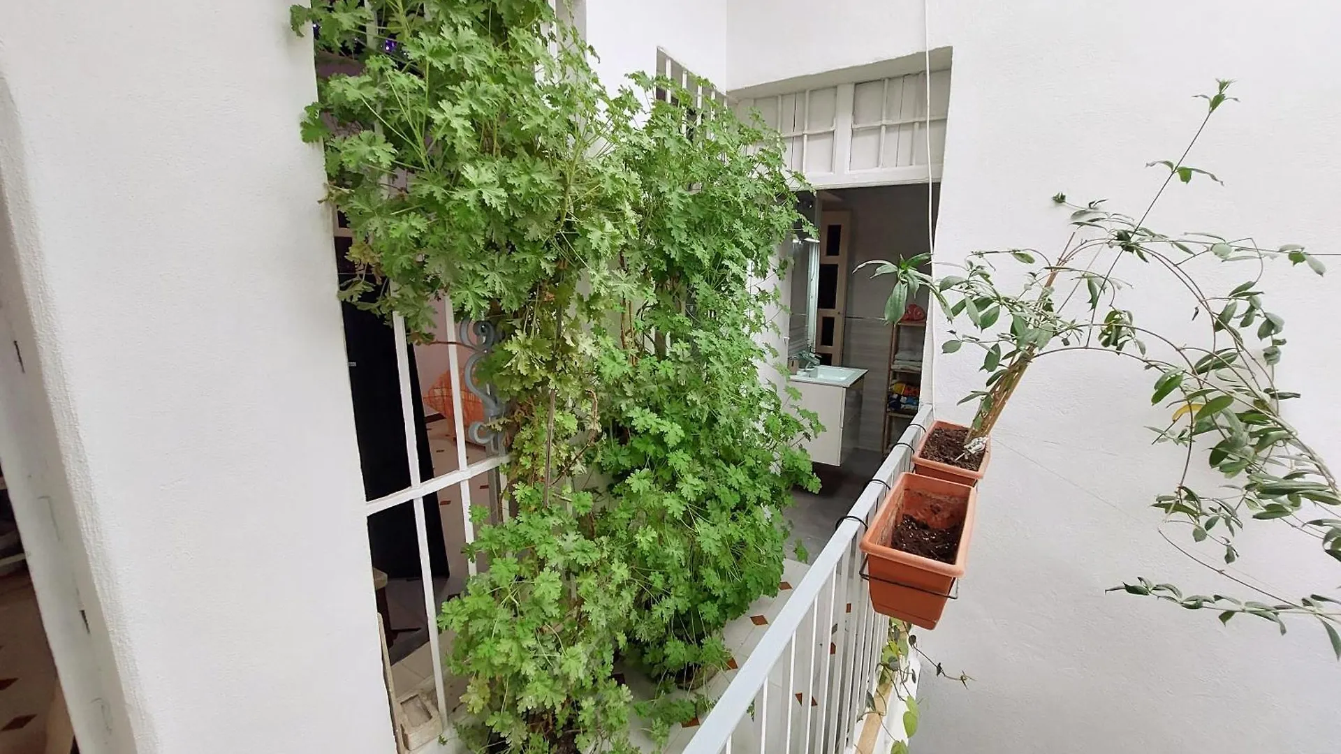 Apartment Casa Madre Gelart Patrimonio Gaditano Del Siglo XIX San Fernando